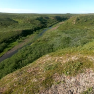 Тундра вдоль Нижней Каменки